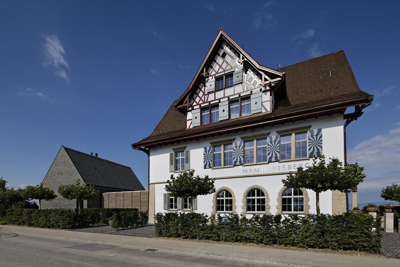 Mammertsberg Roggwil  Екстер'єр фото